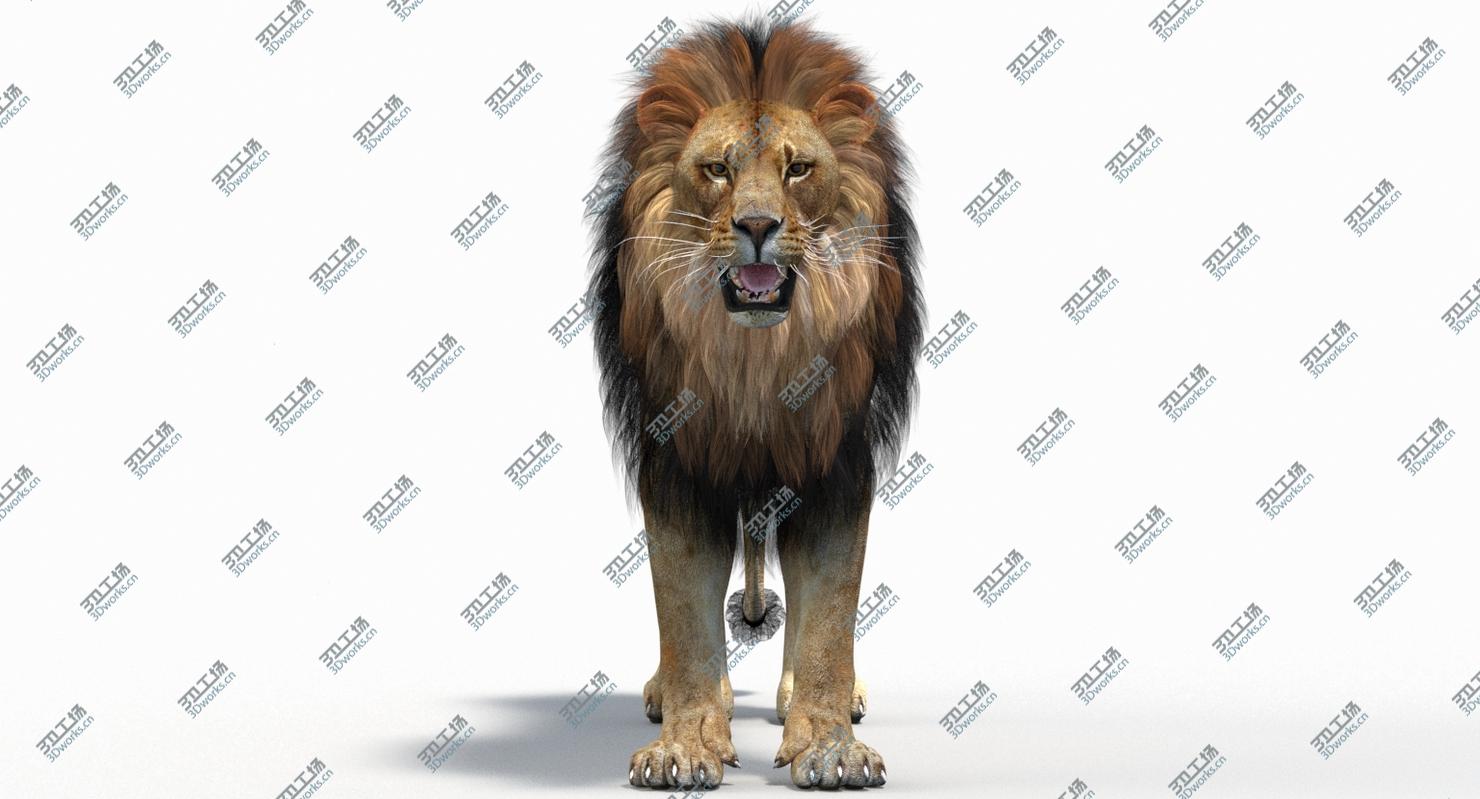 images/goods_img/2021040161/Big Cats 05 3D/3.jpg